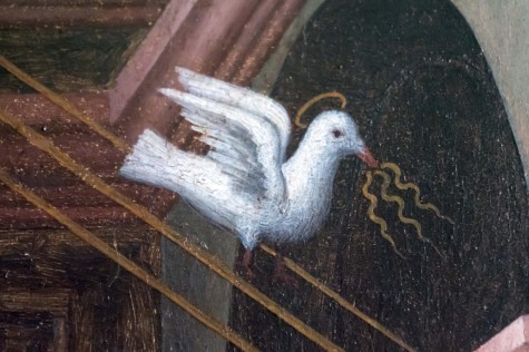 Dove details